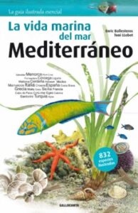 La Vida Marina Del Mar Mediterraneo