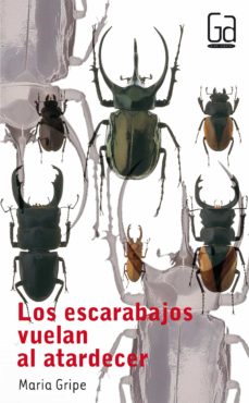 Los Escarabajos Vuelan Al Atardecer