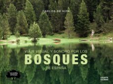 Viaje Visual Y Sonoro Por Los Bosques De España