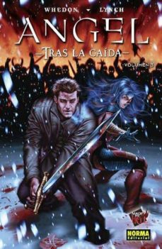 Angel Nº 3: Tras La Caida