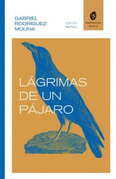 Libro, Audiolibro Lágrimas De Un Pájaro Lágrimas De Un Pájaro