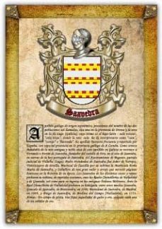 Libro, Audiolibro Apellido Saavedra / Origen, Historia Y Heráldica De Los Linajes Y Apellidos Españoles E Hispanoamericanos Apellido Saavedra / Origen, Historia Y Heráldica De Los Linajes Y Apellidos Españoles E Hispanoamericanos