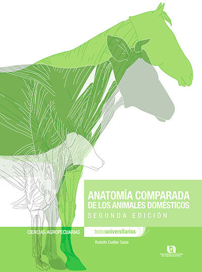 Anatomía Comparada De Los Animales Domésticos