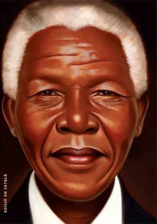 Nelson Mandela - Català (Albumes Ilustrados)